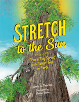 Stretch to the Sun