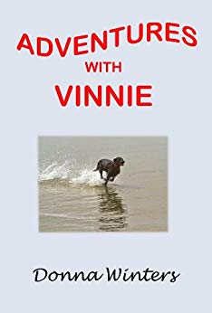 Adventures with Vinnie main image